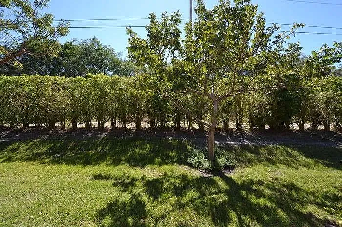 2788 Wood Fern Dr — Photo 38