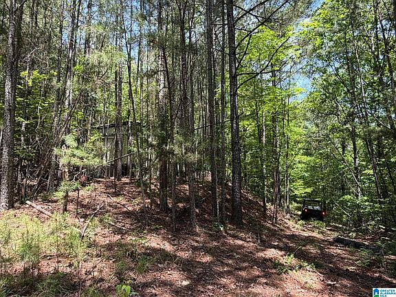 4th image of 455 Oak Grove Rd #0