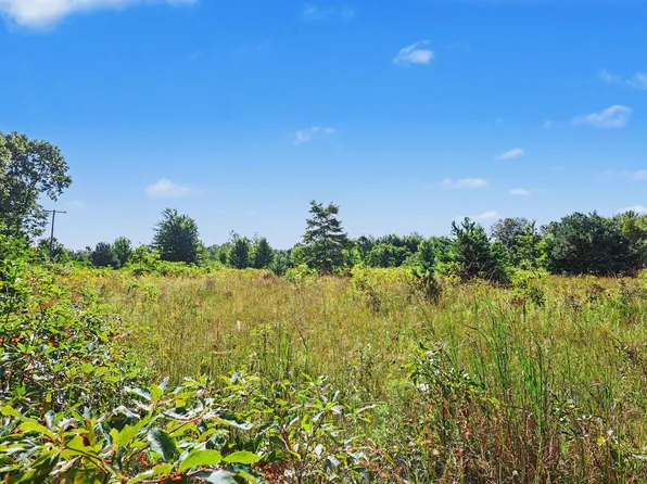 Vacant 168th Ave, Spring Lake, MI 49456
