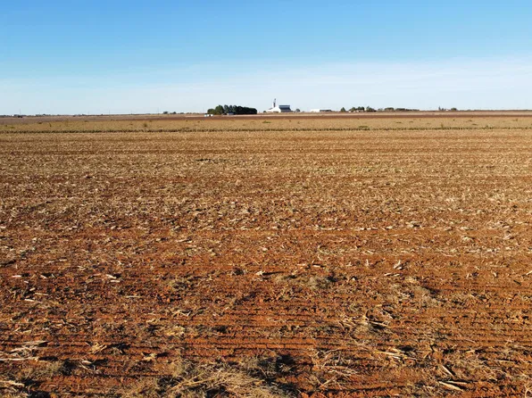 6647 Tiger Rd, Ropesville, TX 79358