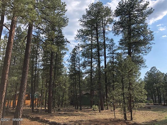 3rd image of 2635 Blue Lake Cir