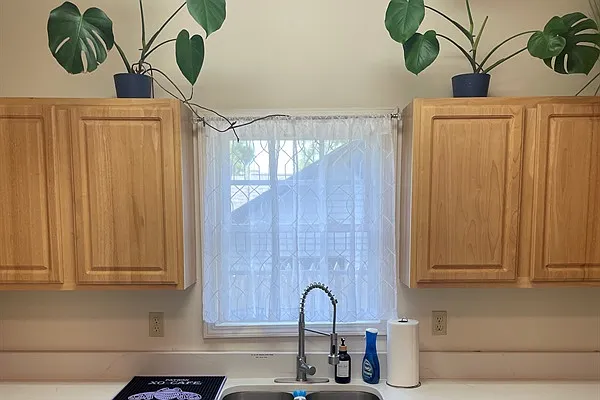 3 bed, 1285 sqft, $3,550 — Photo 3