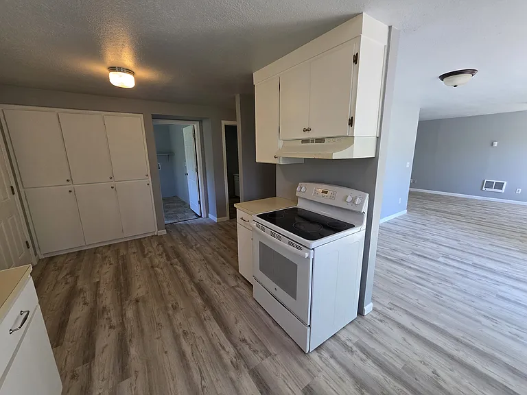 kitchen.. showing pantry and doorway into utility room