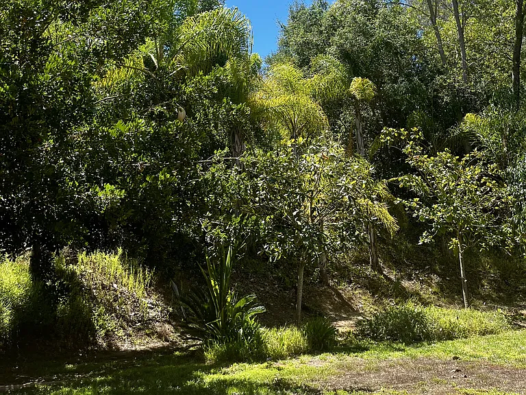 1314 Brooke Gln — Photo 10