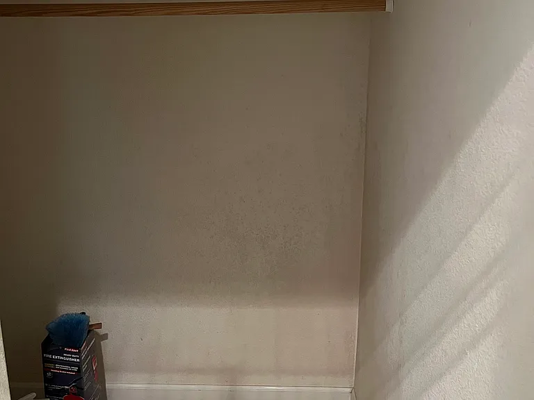 Deep closet-lots of storage