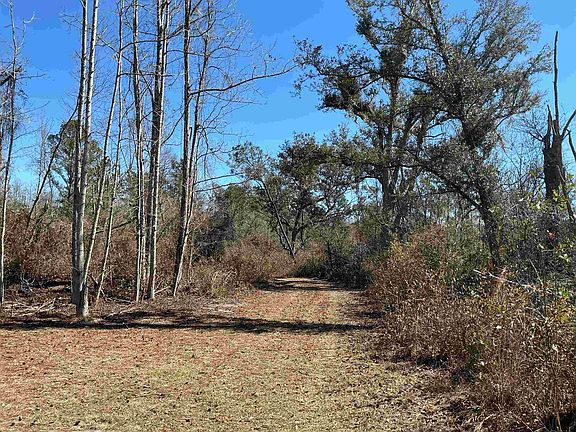 5th image of SW Cow Rd