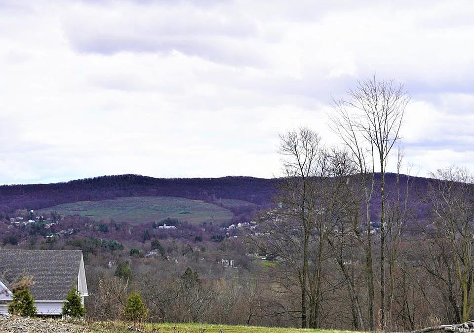 81 Pine Island Turnpike, Warwick, NY 10990 MLS H6171317 Zillow