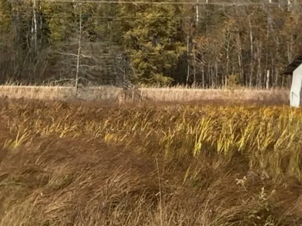 4365 West #M48, Pickford, MI 49774