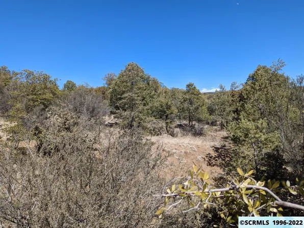 Xx Wide Canyon Trl, Silver City, NM 88061