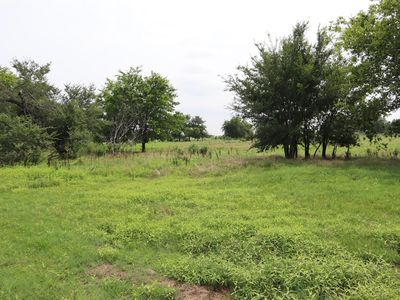 0 County Road 2383, Pickton, TX, 75471