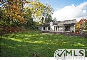 Large Backyard