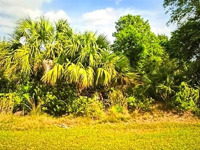 27178 Jordan Ave #35, Punta Gorda, FL, 33983