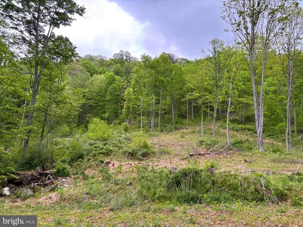 Tiger Valley Rd, Hyndman, PA 15545
