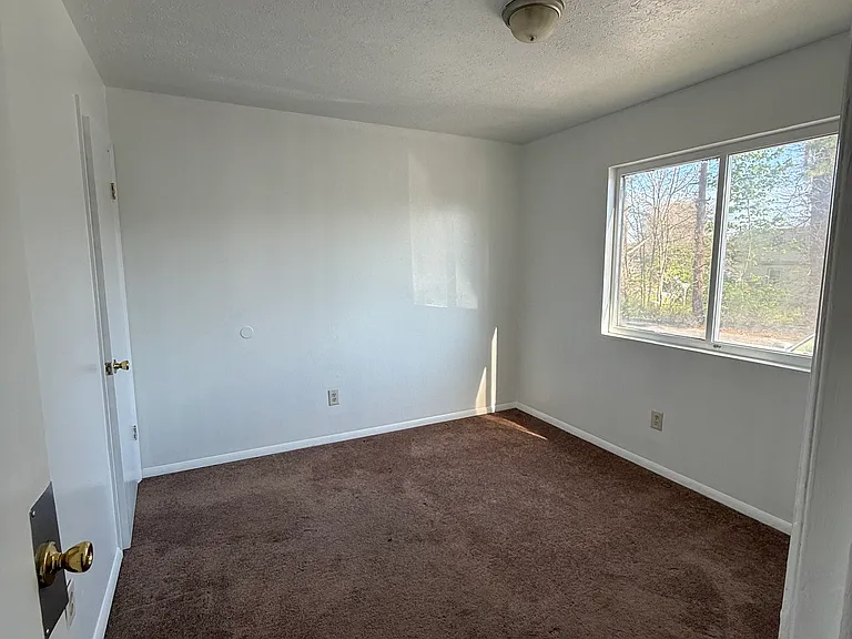 524 Calhoun St #15 — Photo 4