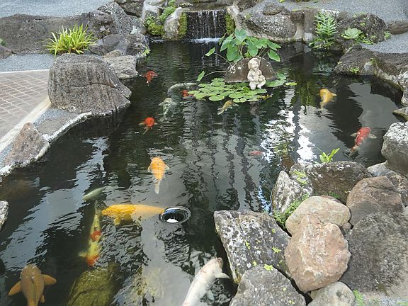 Entry to Building Koi Pond
