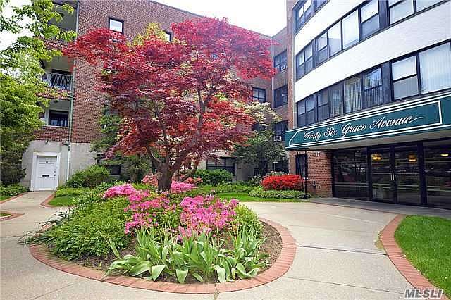 1st image of 46 Grace Ave APT 3B