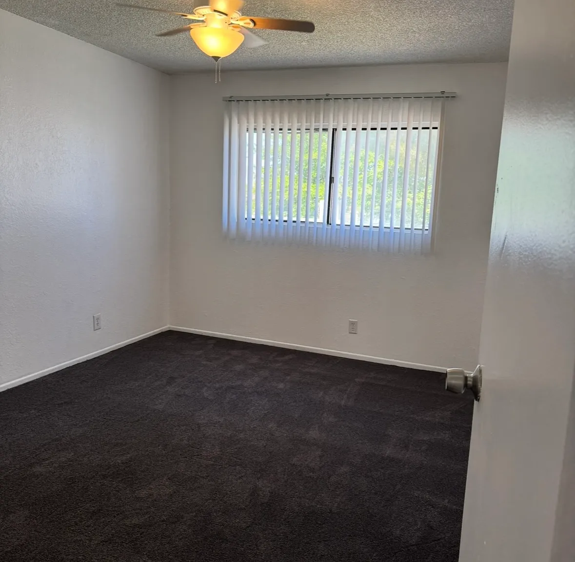 2 bed, $1,500 — Photo 4