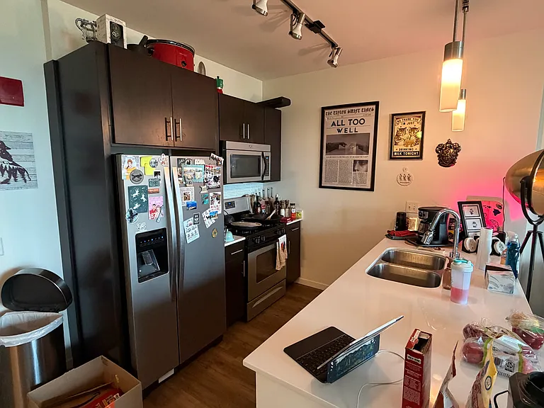 3741 N Halsted St #813 — Photo 5