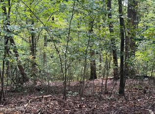 Riddle St, Dayton, TN 37321