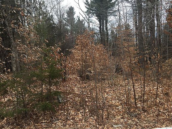 3rd image of 0 Gentian Hollow