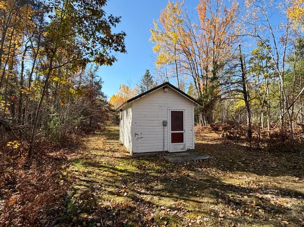 450 S Brown Trl, Indian River, MI 49749