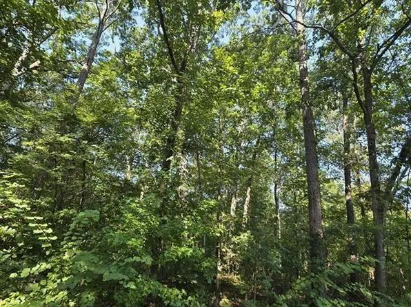 34-37 County Road 249 #34-37, Leesburg, AL 35983