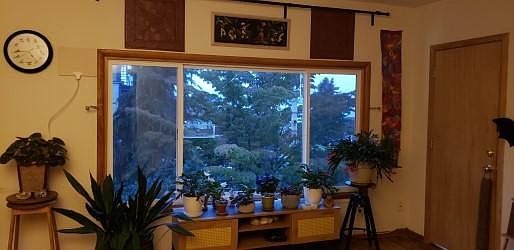 4th image of 511 N C St #5