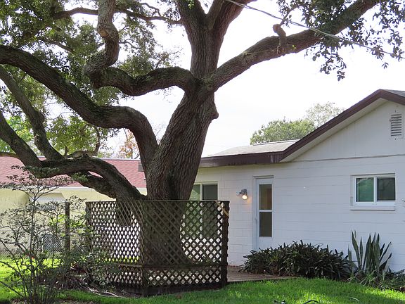 Back deck with old oak