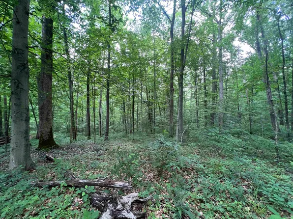 5061 N Blue Heron Rd, Solsberry, IN 47459