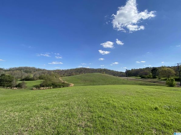 6405 State Highway 174 TRACT 2, Springville, AL 35146