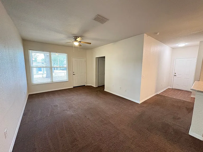 1003 Hemingway Cir — Photo 3