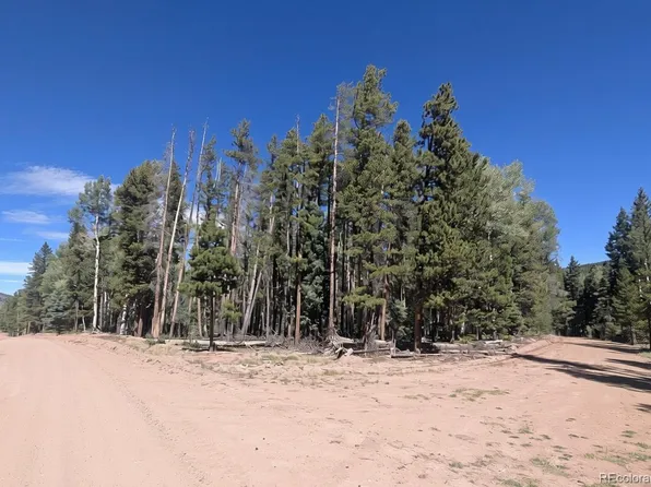 2895 Henderson Drive, Fort Garland, CO 81133