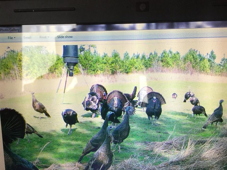 1st image of 0 Tribble Rd