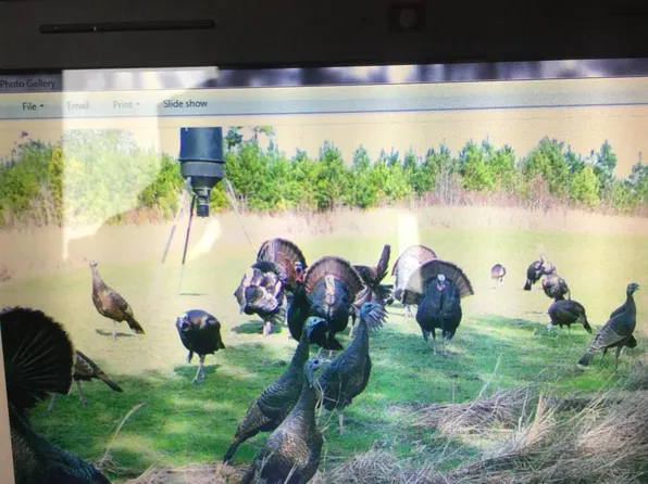 0 Tribble Rd, Greenwood Springs, MS 38848