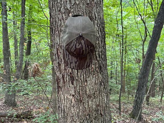 4th image of Us Highway 41