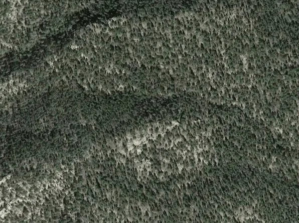 154 Acres Hwy #94, Mora, NM 87732