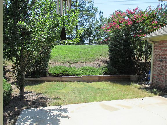 Backyard: Pretty Pear Tree