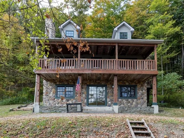 8540 Hayes Hollow Rd, Colden, NY 14033