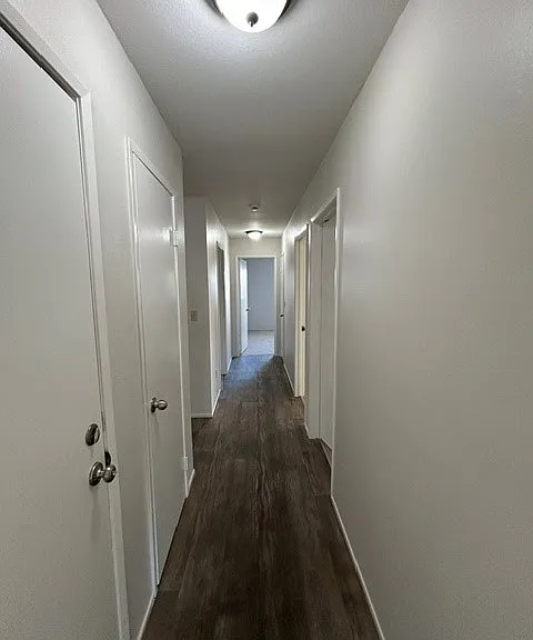 7009 Wineberry Way — Photo 13