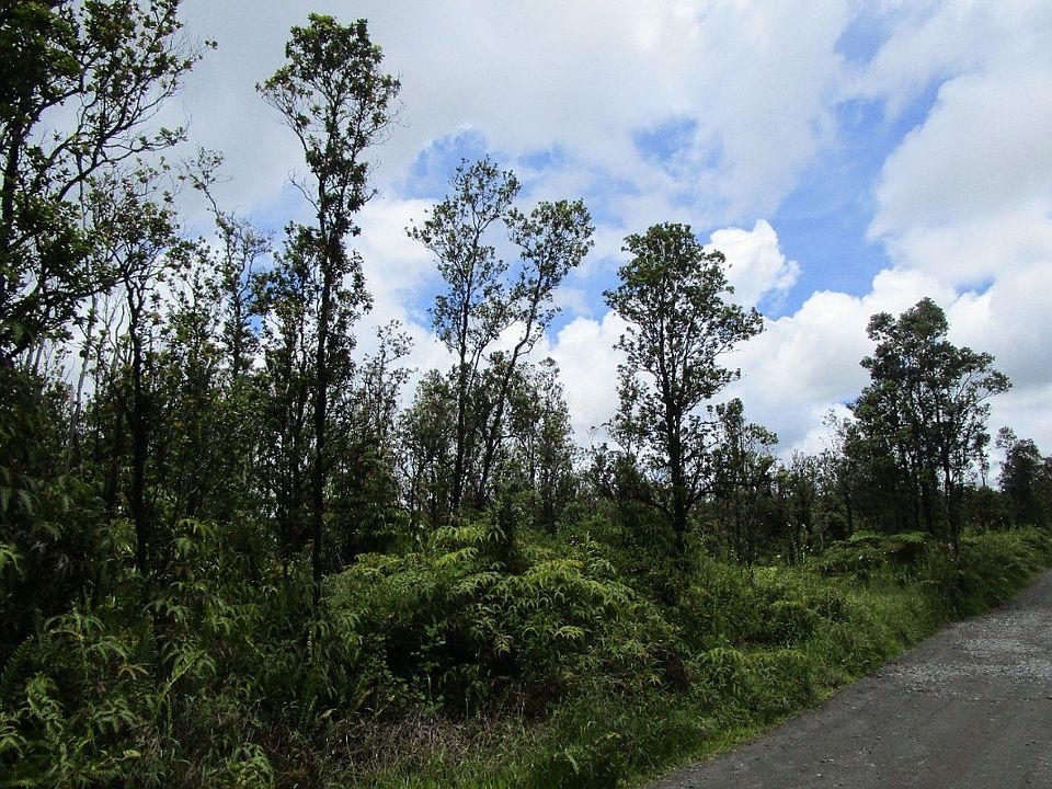 2nd image of Omeka Rd Lot 61