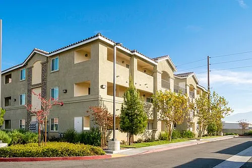 Echo Apartments — Photo 3