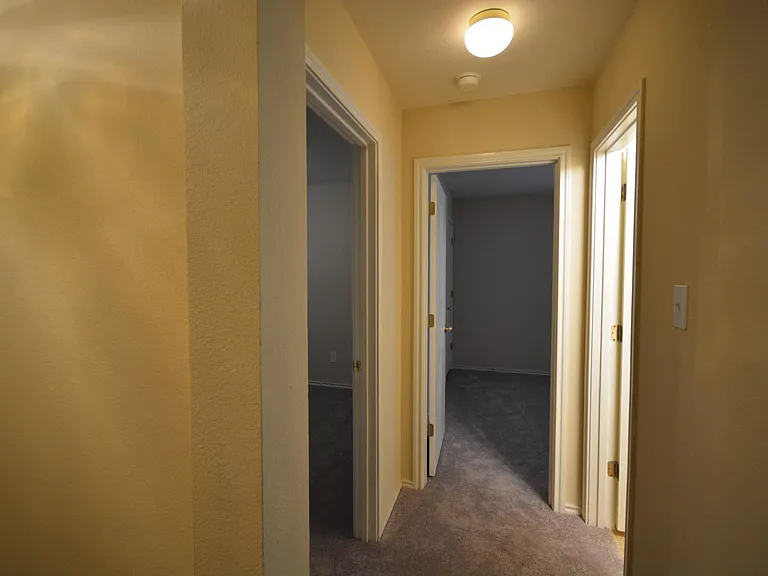 410 Goldenrod St — Photo 11