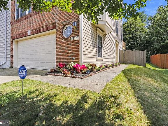 side entrance to basement on ground floor