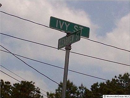 2nd image of 3338 Ivy St