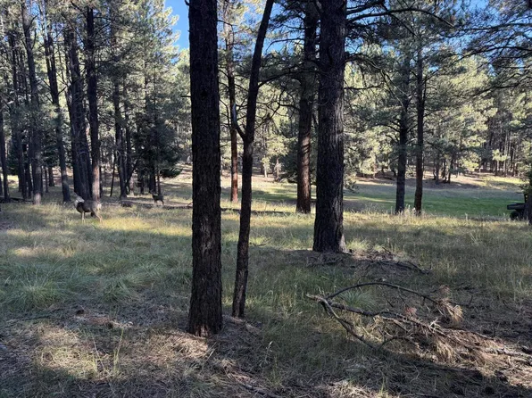 884 Las Palomas, Angel Fire, NM 87710