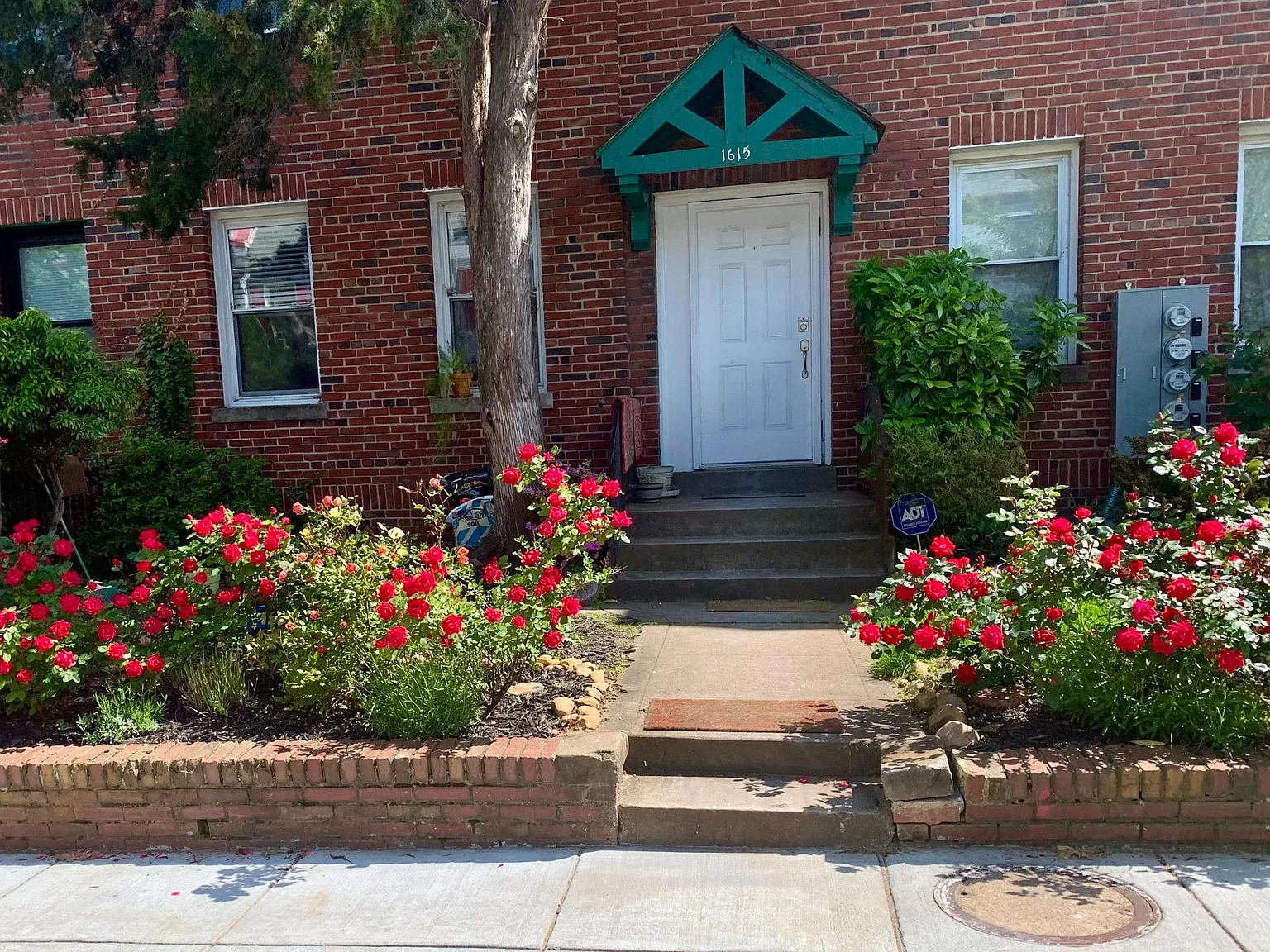 1 bed, 750 sqft, $1,100 — Photo 1