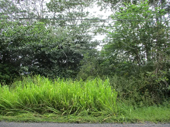 17th St Lot 500, Keaau, HI 96749