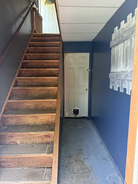 2 bed, $1,600 — Photo 4