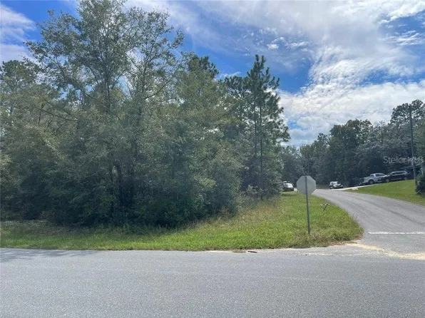 11083 N Tigerwood Ter, Citrus Springs, FL 34434