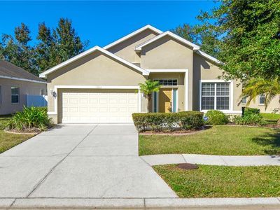 11849 Colony Lakes Blvd, New Port Richey, FL, 34654